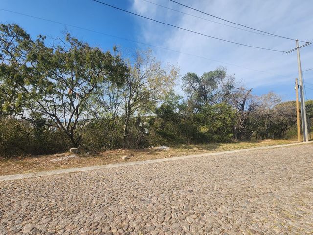 place photo 22