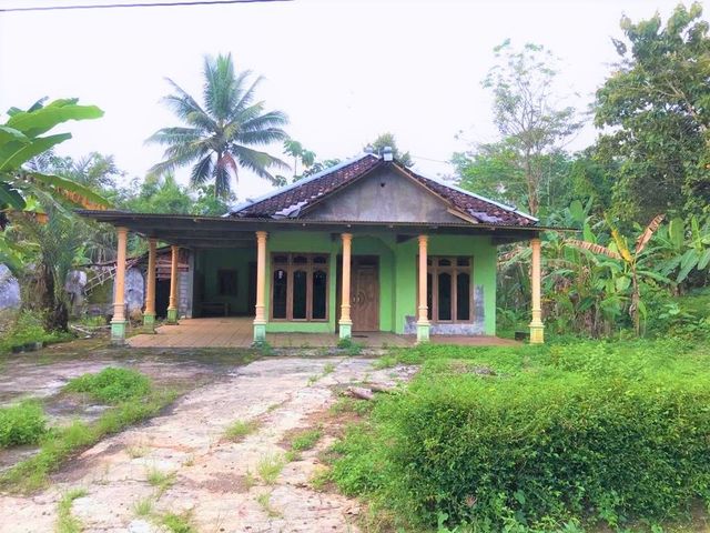 place photo 1