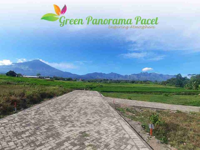 place photo 11
