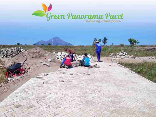 place photo 7