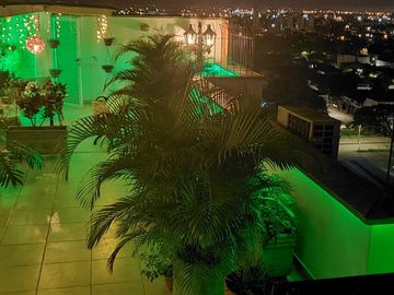 place photo 18