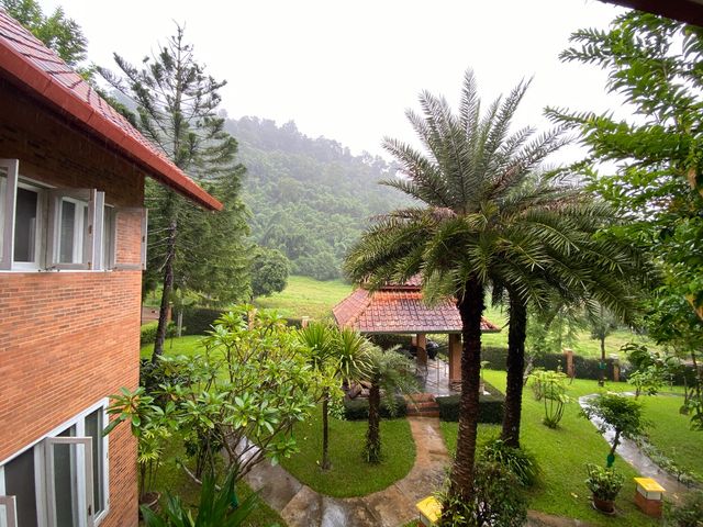 place photo 41