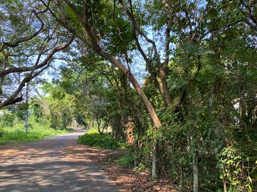 place photo 50