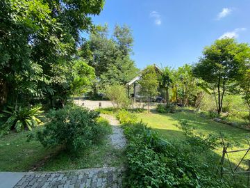 place photo 48