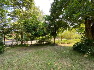 place photo 44