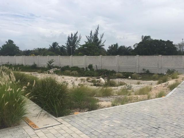 place photo 23