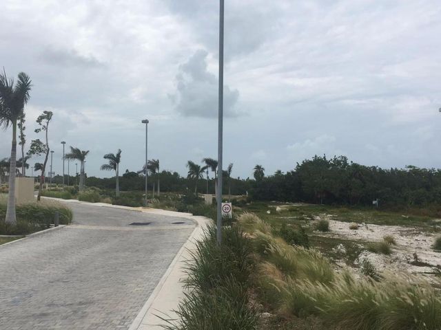 place photo 18