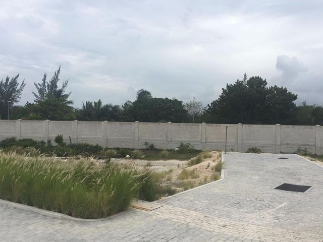 place photo 19