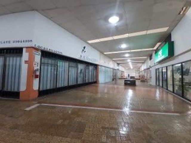 place photo 14