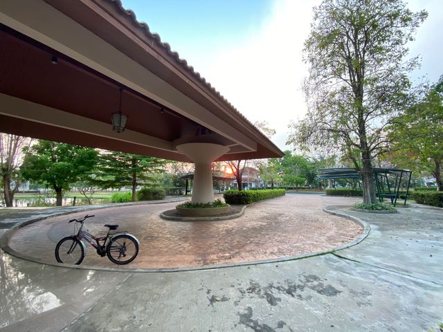 place photo 58