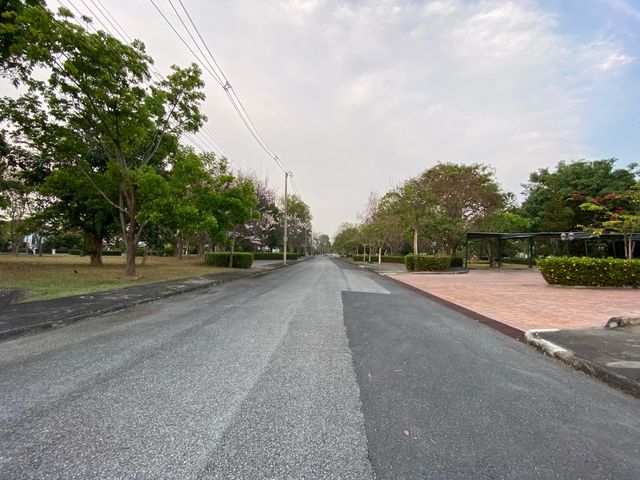 place photo 59