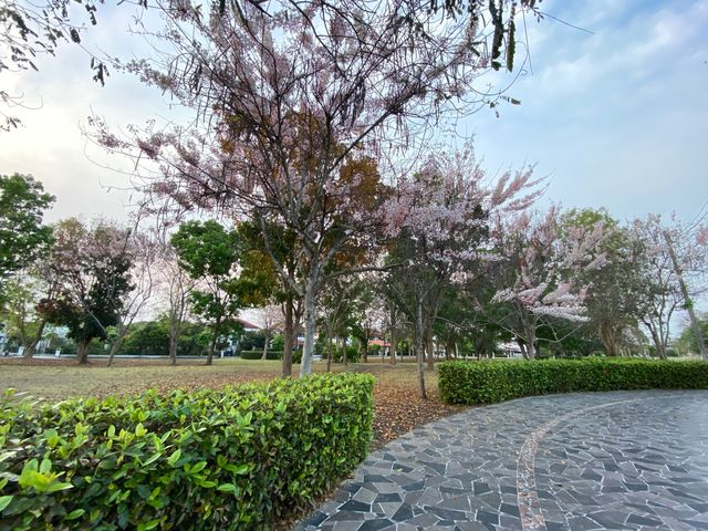 place photo 55