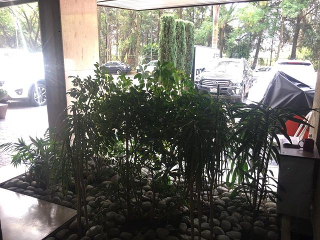 place photo 34