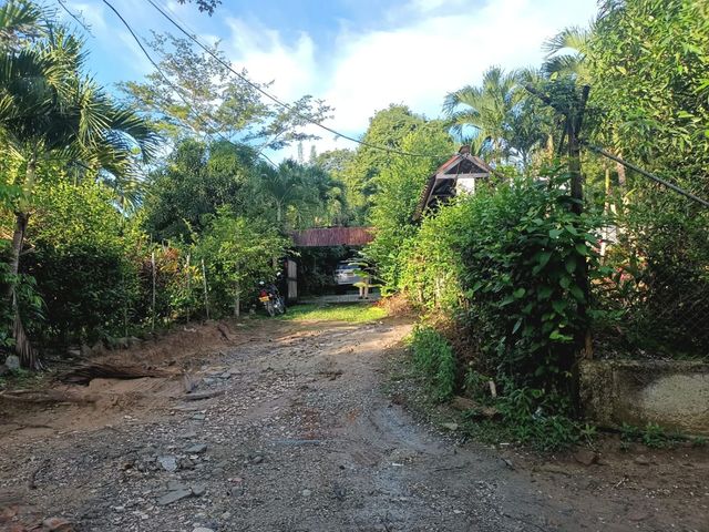 place photo 26
