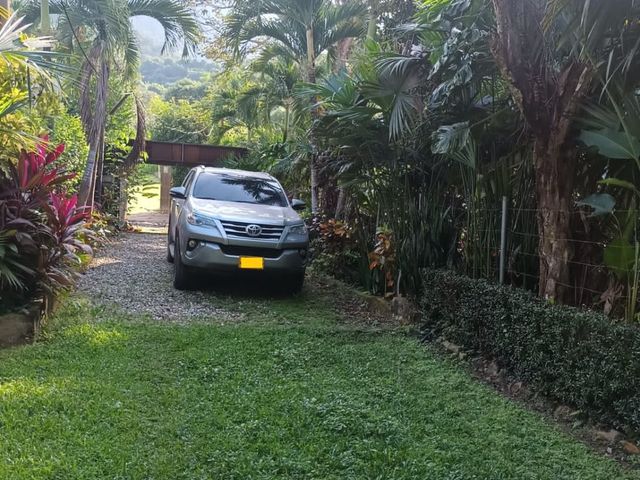 place photo 43