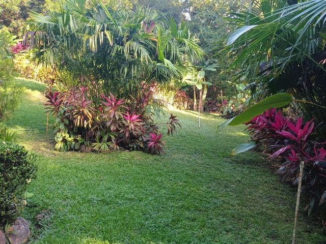 place photo 44