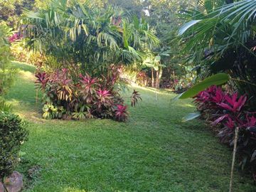 place photo 44