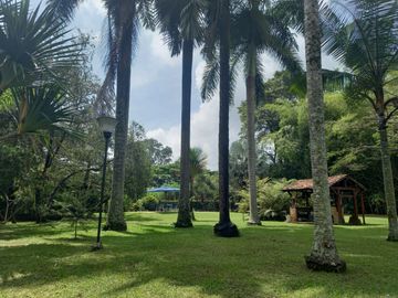 place photo 45