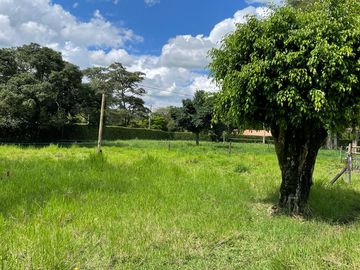 place photo 49