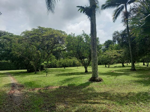 place photo 46