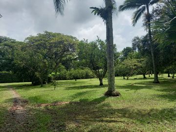 place photo 46