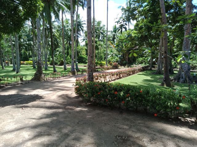 place photo 12
