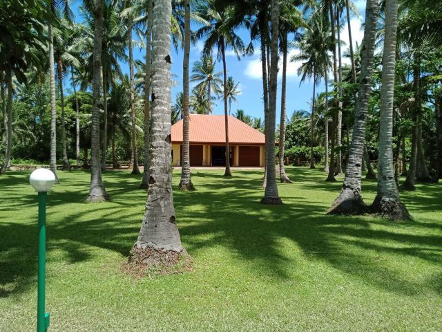 place photo 22