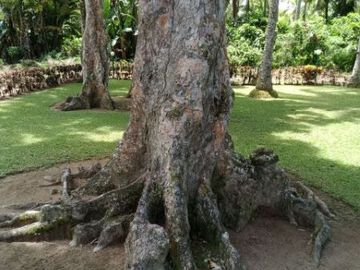 place photo 25
