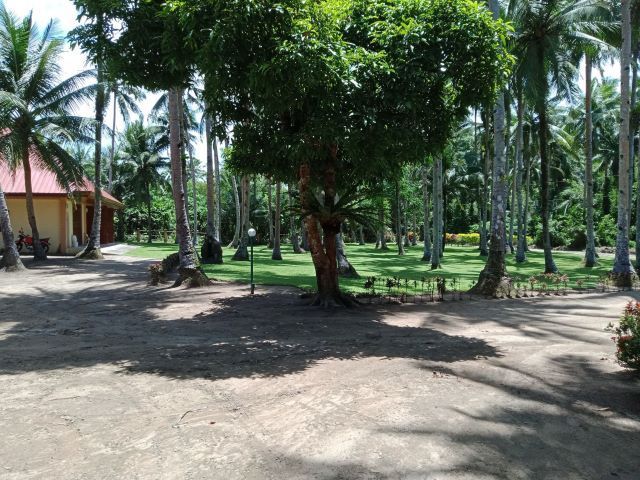 place photo 11