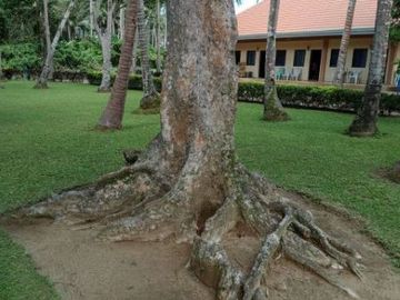 place photo 24