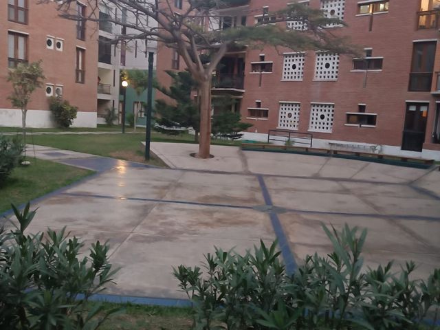 place photo 28