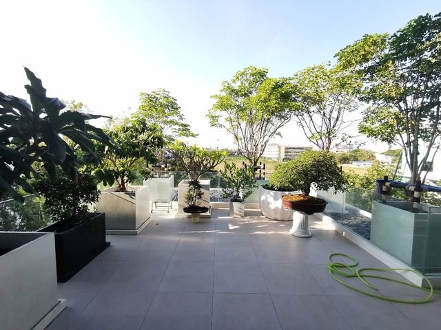place photo 40