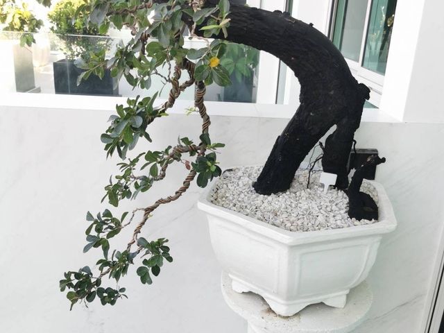 place photo 41
