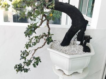 place photo 41