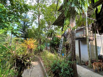 place photo 43
