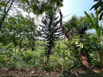 place photo 48