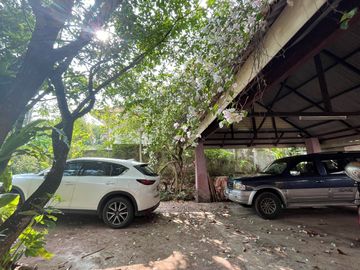 place photo 49