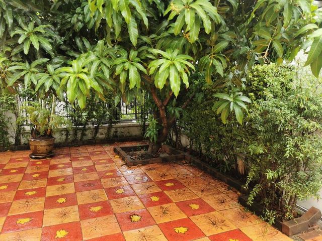 place photo 62