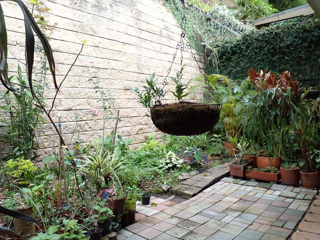 place photo 20