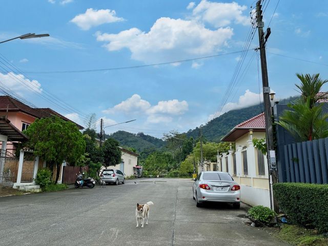 place photo 37