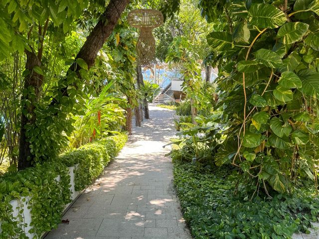 place photo 35