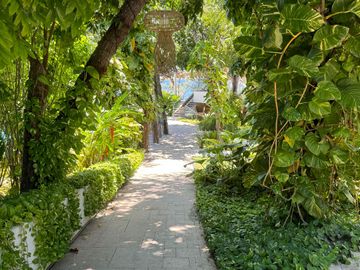 place photo 35