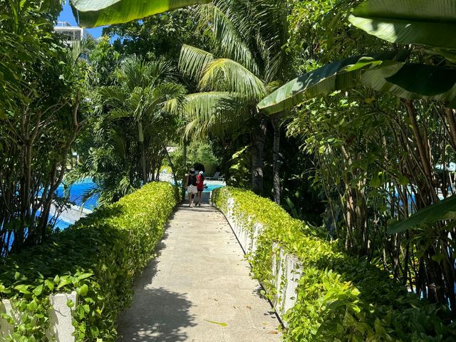 place photo 34