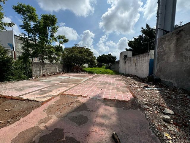place photo 10