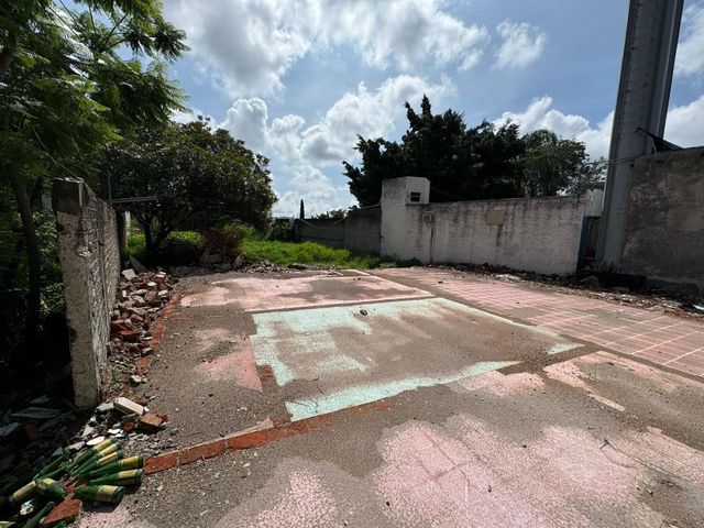 place photo 11