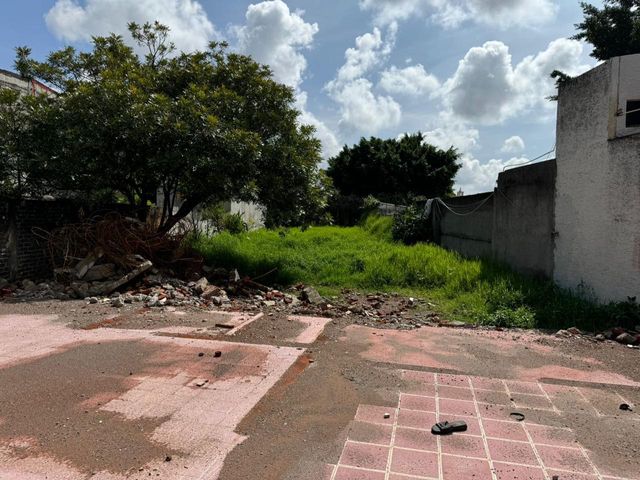 place photo 12