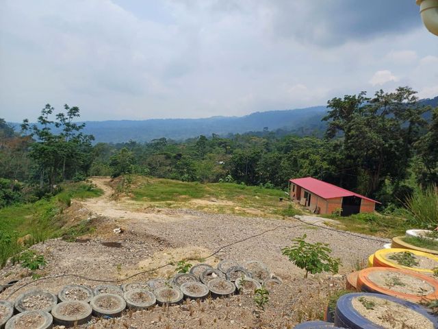 place photo 30