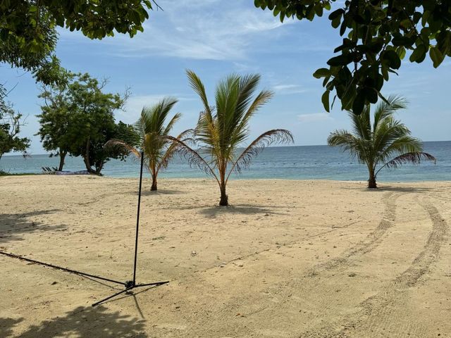 place photo 33