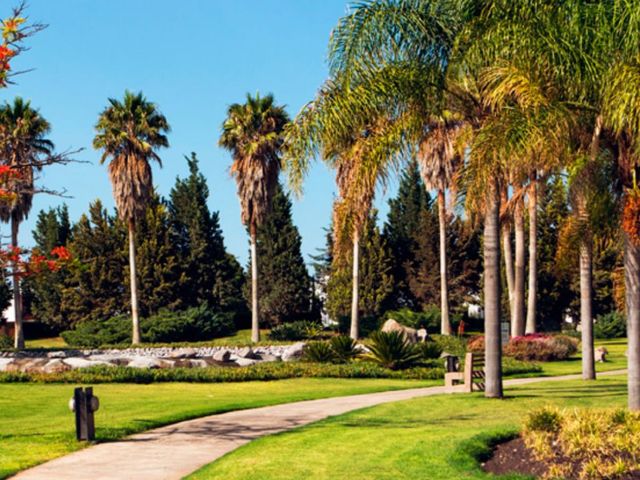 place photo 18