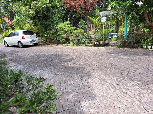 place photo 5